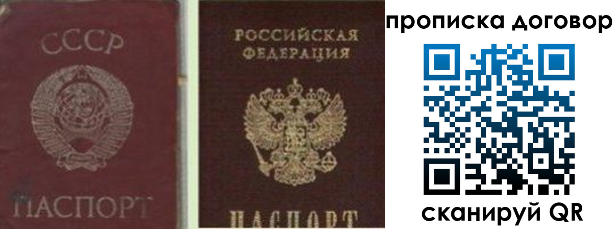 временная регистрация для школы в Читинской области